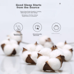 52TOYS Panda Roll 2-in-1 Eye Mask Headrest Plush Panda Doll Peripheral Sleeping Goods - Image 7