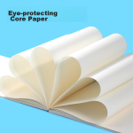 Deli A4/60 loose-leaf notebook with replaceable core notepad postgraduate entrance examination review notebook stationery - Image 4