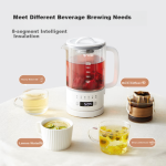 ankale health pot 600ml 316 stainless steel + high borosilicate glass office small mini multi-function stew all-in-one constant temperature kettle AJL-06Z01 with filter - Image 2